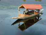 …par le passage des barques traditionnelles, les shikaras