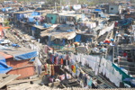 Autre quartier populaire: celui des Dhobi Ghat, lavoirs en plein air où se fait la lessive de toute la ville (14/22)