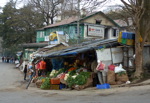 Puis les épiceries traditionnelles, ou "kiranas" (Kasauli)