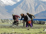 Les habitants des villages au bord du lac pratiquent une agriculture traditionnelle (5/21)