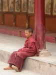 Moines d'Hemis, Ladakh: le jeune...